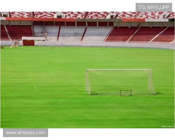 国际足球明星畅谈职业生涯与未来展望揭秘背后的故事与心路历程