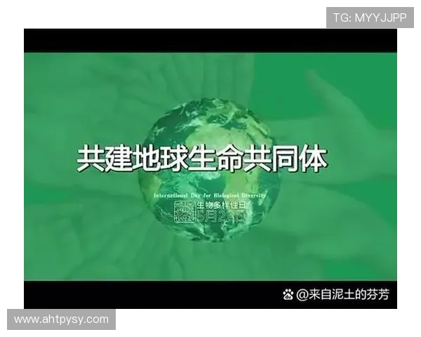 足球天才刘启航的成长历程与辉煌成就全解析