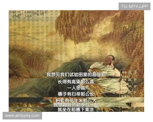 从乡村小子到绿茵场上的闪耀明星的奋斗故事